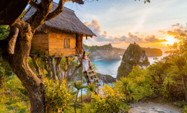 Tree House (Rumah Pohon)