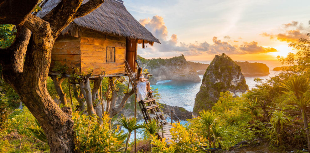 Tree House (Rumah Pohon)